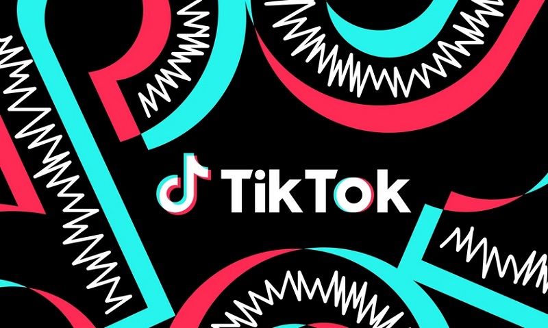 Депутат требует мер по защите детей от негативного контента в TikTok